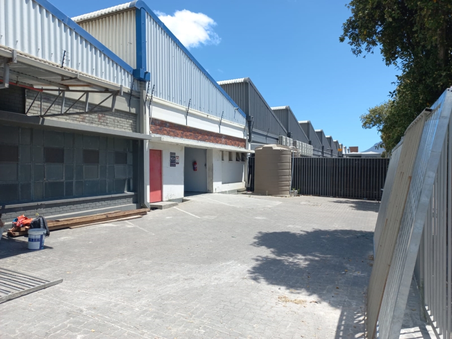 To Let commercial Property for Rent in Paarden Eiland Western Cape